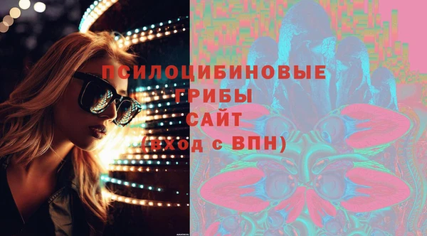 apvp Алексин