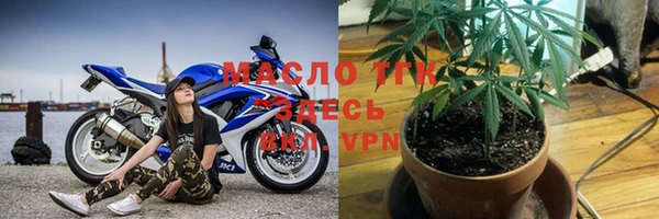 стаф Пересвет